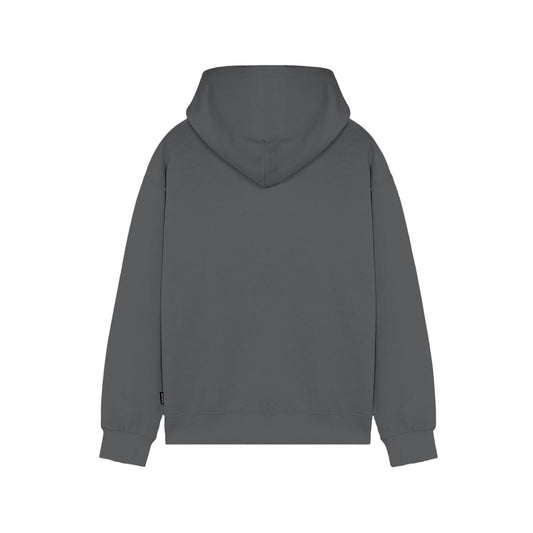 Logo Hoodie Gray